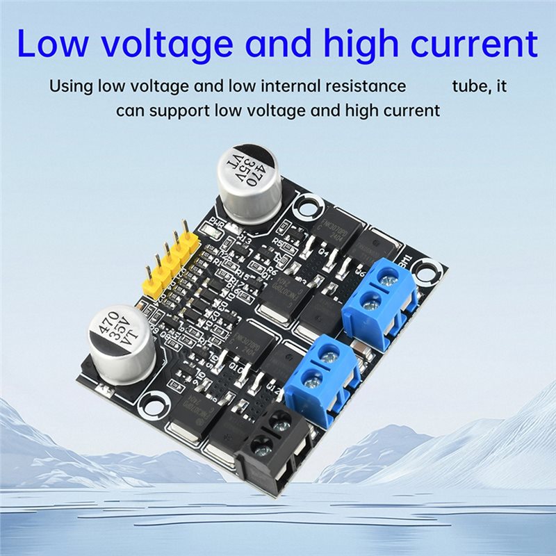Y45A-Dual-Channel 10A 3V-18V H - Motor Driver Module 评论和价格