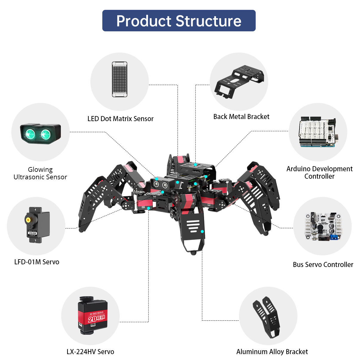 Hiwonder Spiderbot Programmabl - Robot Kit 评论和价格