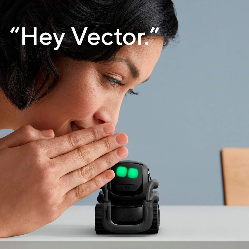 AI ChatGPT 2.0 Connected Robot - Robot Remote Control 评论和价格