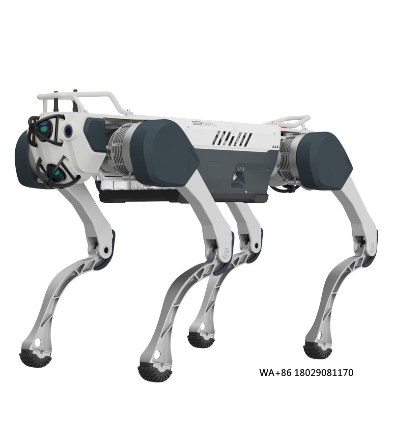 Achieving Artificial Intellige - Robot Remote Control 评论和价格
